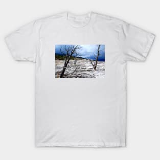 Yellowstone National Park T-Shirt